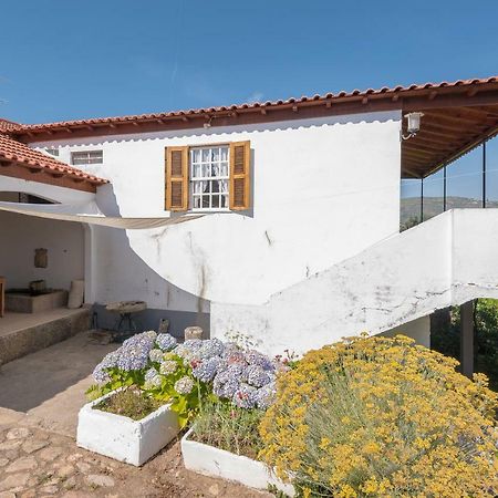 Quinta Do Acipreste Lamego Εξωτερικό φωτογραφία