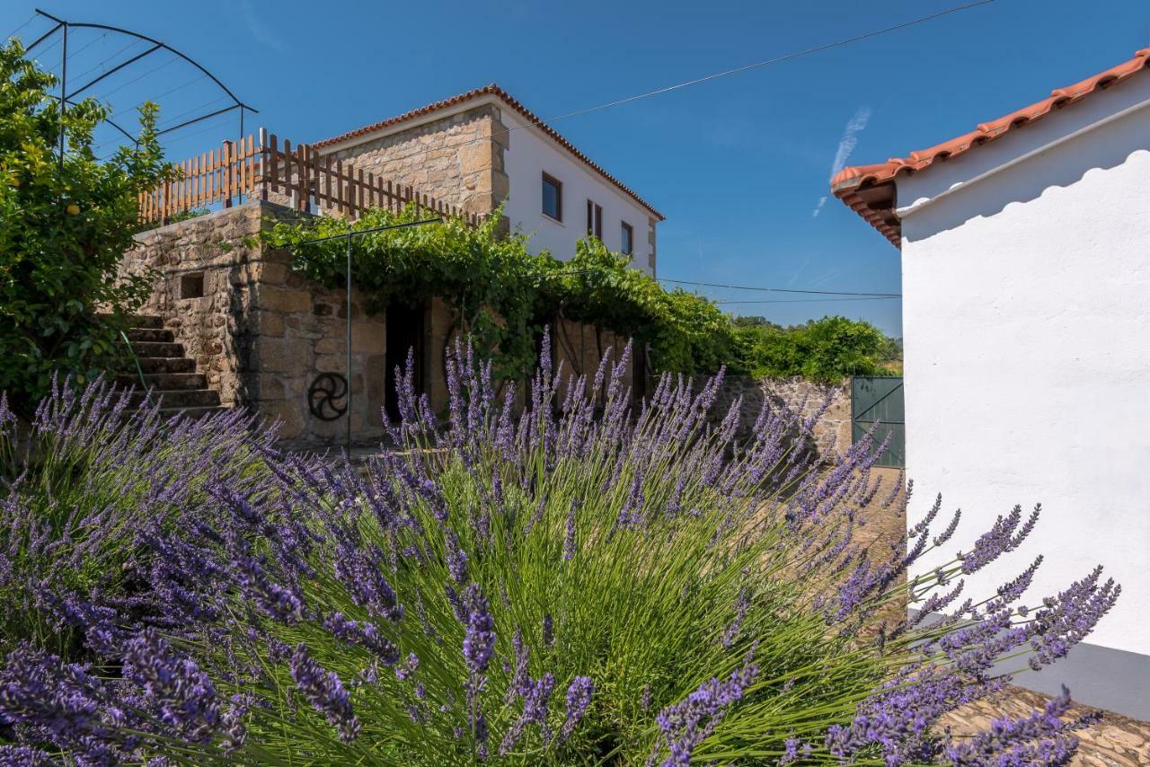 Quinta Do Acipreste Lamego Εξωτερικό φωτογραφία