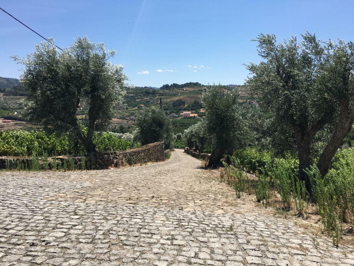 Quinta Do Acipreste Lamego Εξωτερικό φωτογραφία