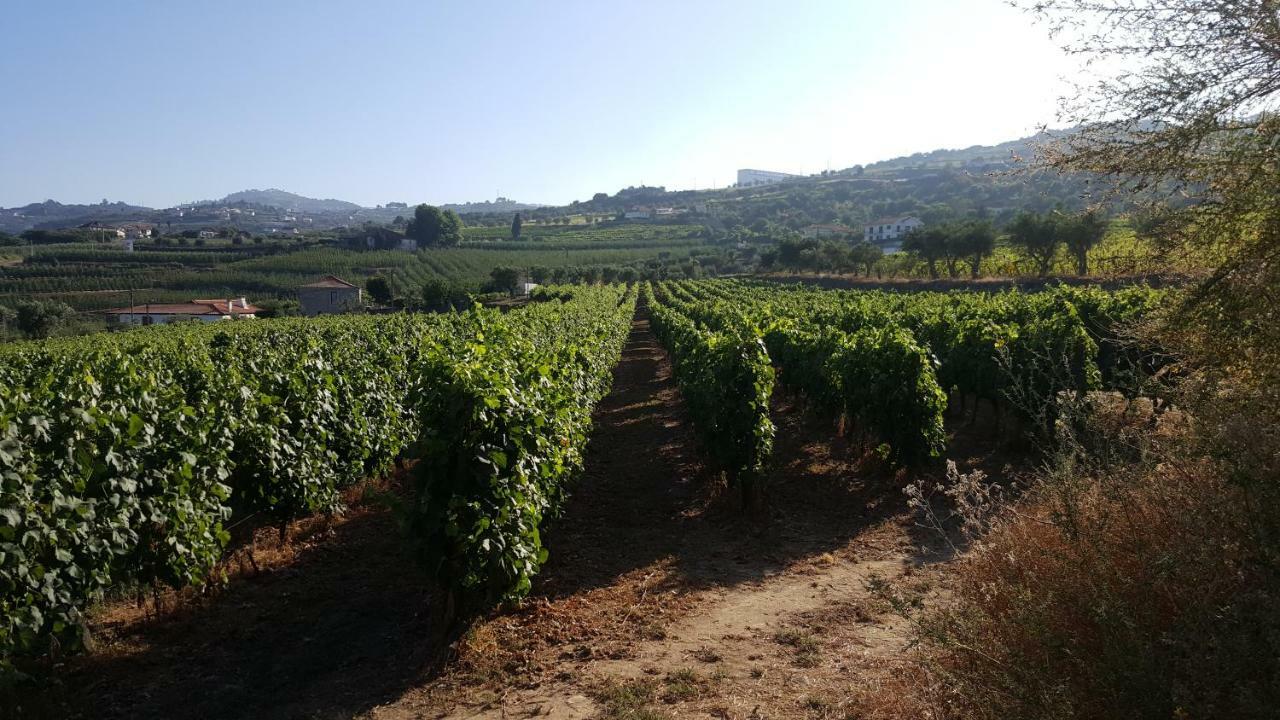 Quinta Do Acipreste Lamego Εξωτερικό φωτογραφία
