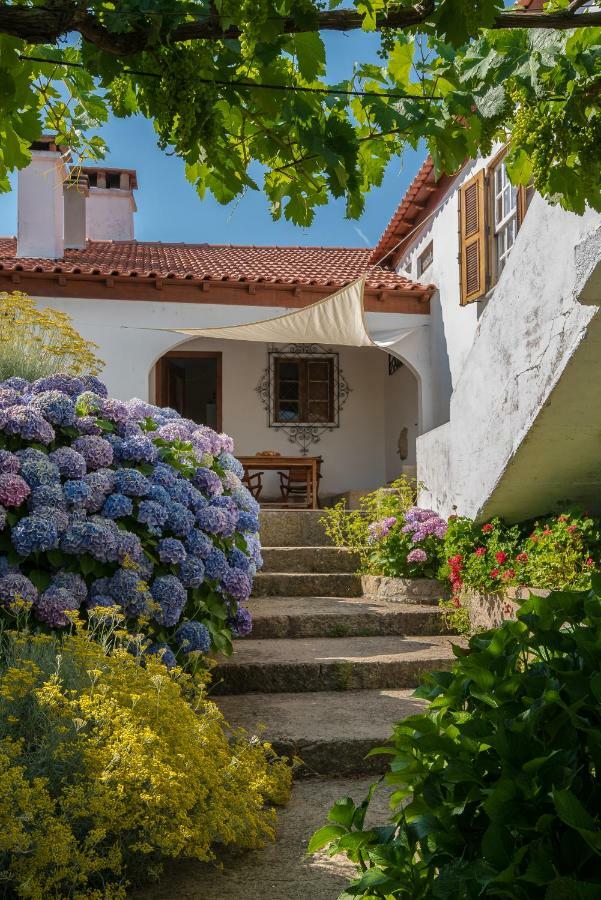 Quinta Do Acipreste Lamego Εξωτερικό φωτογραφία