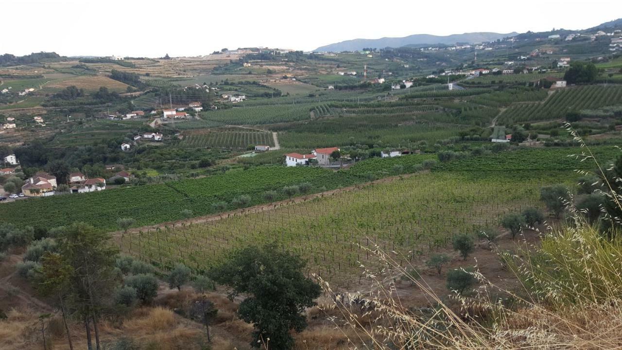 Quinta Do Acipreste Lamego Εξωτερικό φωτογραφία